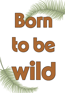 Born to be wild