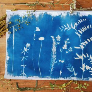 Impression cyanotype montrant des formes naturelles comme des feuilles et des fleurs, créant des motifs bleus sur un papier blanc.