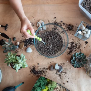 Atelier création de terrariums écoresponsables