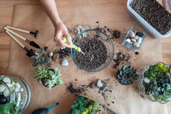 Atelier création de terrariums écoresponsables