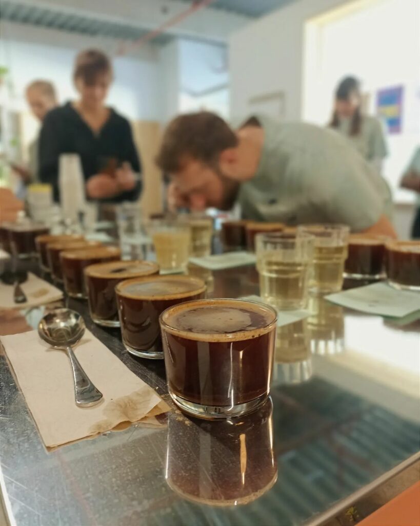 Verres alignés contenant marc de café et eau de rinçage