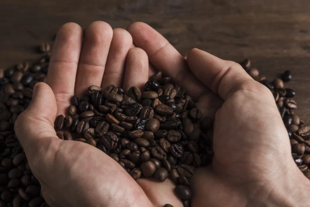Deux mains ouvertes portent des grains de café sur un fond en bois, symbolisant l’engagement responsable, les circuits courts et le savoir-faire artisanal de Coffeart.