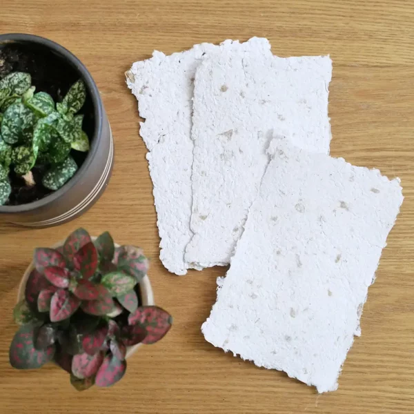 Trois feuilles de papier artisanal texturé au marc de café posées sur une table en bois, accompagnées de petits pots de plantes, illustrant un DIY zéro déchet.