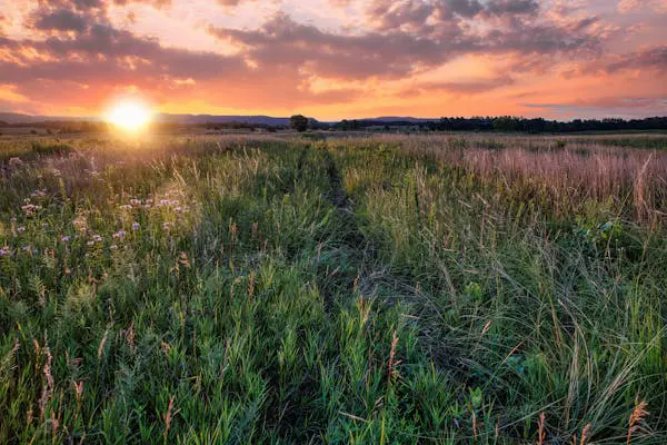 Paysage de soleil se couchant sur un champ de blé