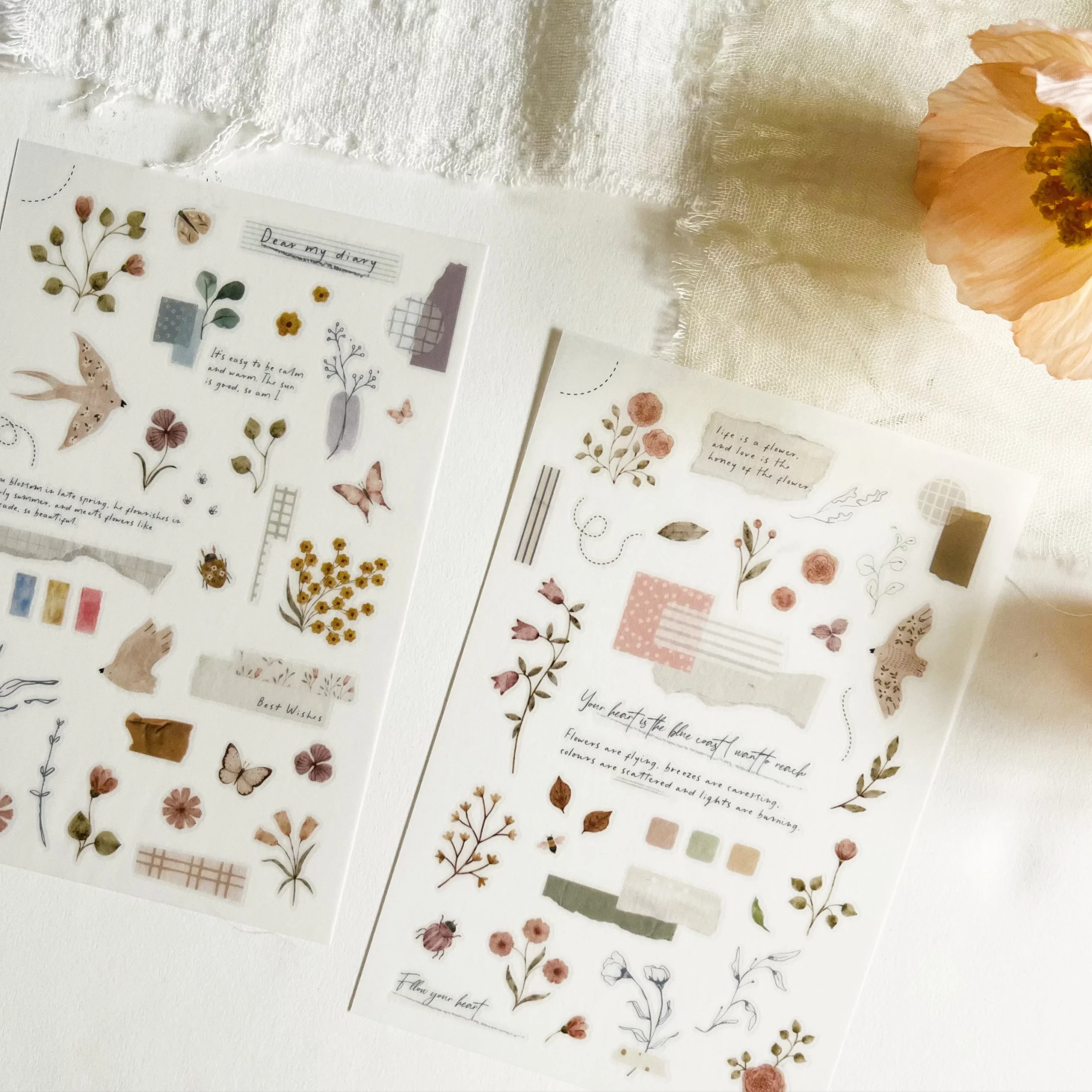 IMG_1889_3f9e8764-c803-4dba-ad78-47e6cbb3468a