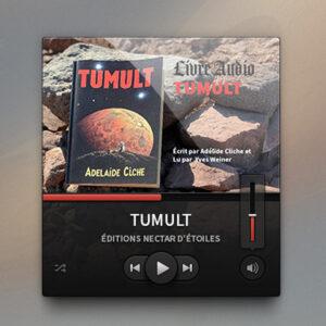 Image d'un fichier audio du roman "TUMULT".