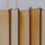 Plusieurs livres côte à côte.