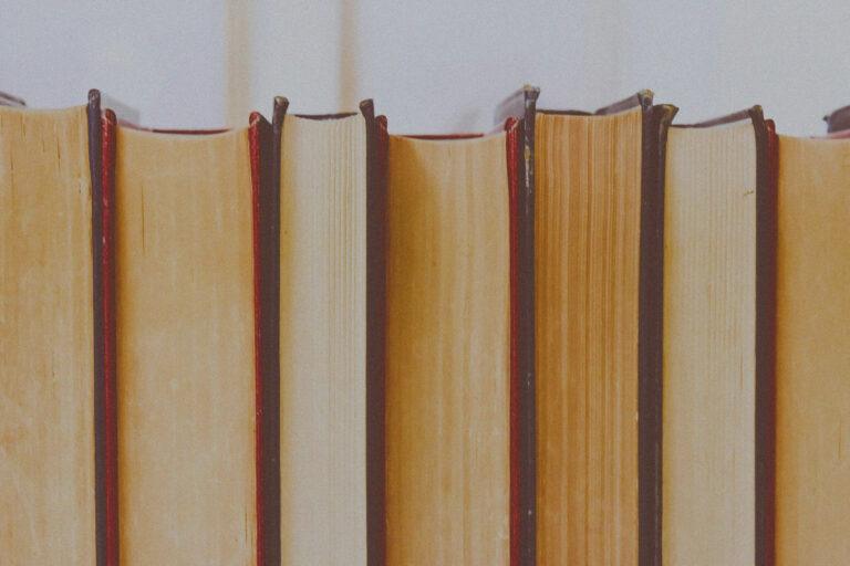 Plusieurs livres côte à côte.