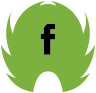 Logo Facebook sur fond vert en forme d'ailes de corbeau.