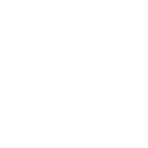 Icône attraction blanc.