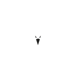 Logo blanc du corbeau Insomnia.