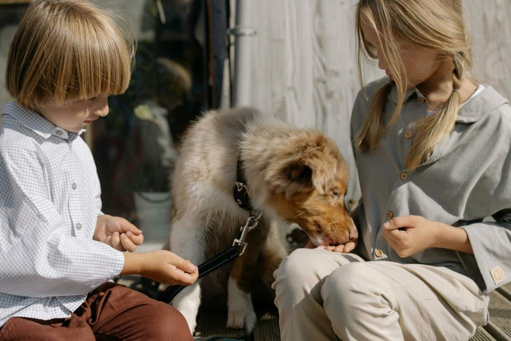 deux enfants assis sur un muret donne une friandises à une chien.