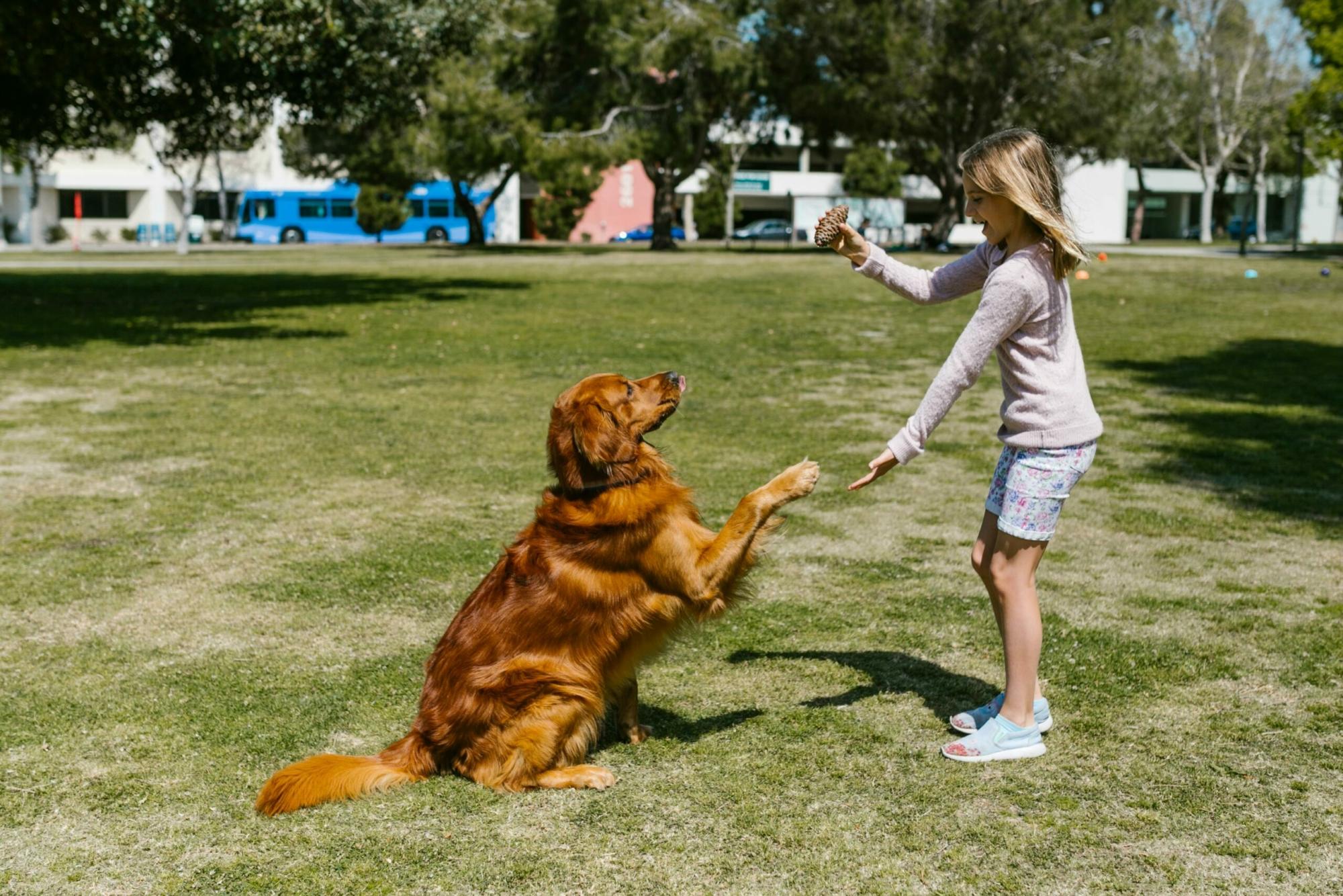 Une jeune fille debout tient la patte d'un chien
