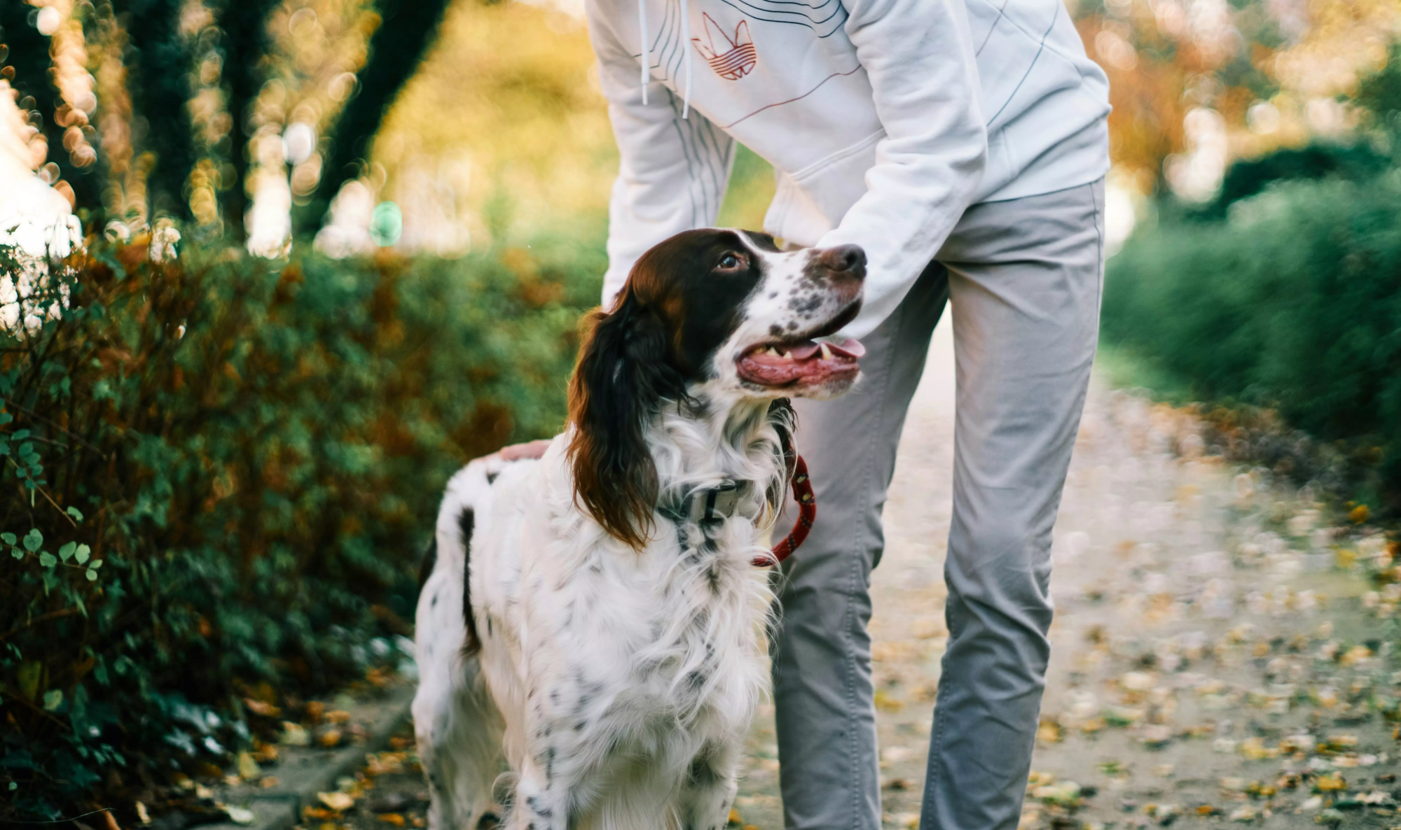 eddie-junior-OBM4TXDG0Tc-unsplash