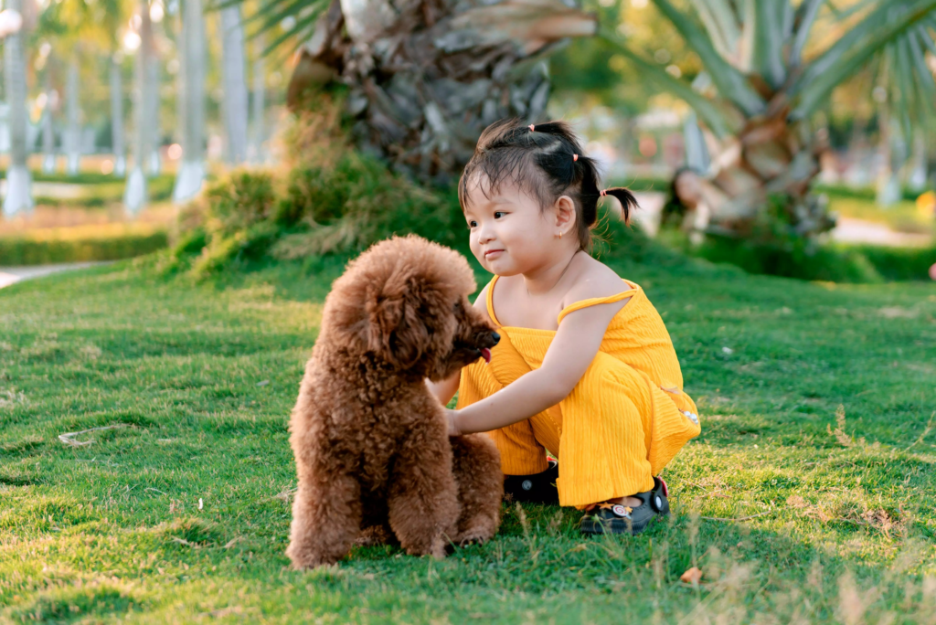 pexels-minh-vo-507870144-20780569