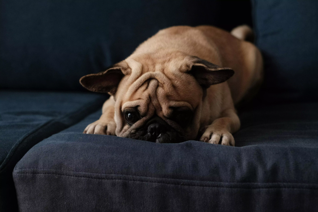 pexels-nguyendesigner-4674807